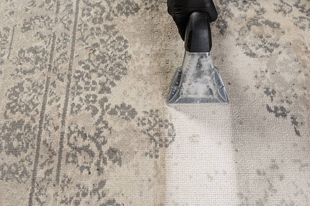 Professional flooded carpet restoration in Brisbane help property owners assess the structural damage accurately.