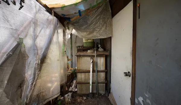 If you suspect Mould After Water Damage Brisbane, contact Freshify Flood Restoration Brisbane today on 07 3778 7155 for prompt assistance. Acting early helps protect your home, your investment, and your family's health.